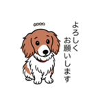 名前入りダックスレッドパイボールド（個別スタンプ：4）