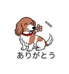 名前入りダックスレッドパイボールド（個別スタンプ：5）