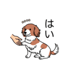 名前入りダックスレッドパイボールド（個別スタンプ：6）