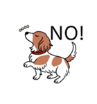 名前入りダックスレッドパイボールド（個別スタンプ：8）