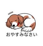 名前入りダックスレッドパイボールド（個別スタンプ：9）