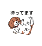 名前入りダックスレッドパイボールド（個別スタンプ：10）