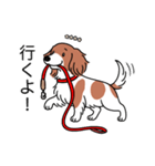 名前入りダックスレッドパイボールド（個別スタンプ：11）