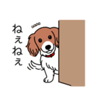 名前入りダックスレッドパイボールド（個別スタンプ：12）