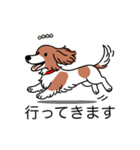 名前入りダックスレッドパイボールド（個別スタンプ：13）