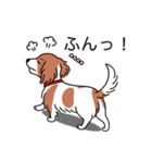 名前入りダックスレッドパイボールド（個別スタンプ：14）