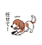 名前入りダックスレッドパイボールド（個別スタンプ：15）