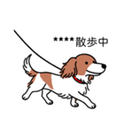 名前入りダックスレッドパイボールド（個別スタンプ：17）