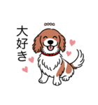 名前入りダックスレッドパイボールド（個別スタンプ：18）