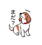 名前入りダックスレッドパイボールド（個別スタンプ：20）