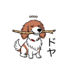 名前入りダックスレッドパイボールド（個別スタンプ：21）