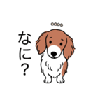 名前入りダックスレッドパイボールド（個別スタンプ：22）