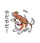 名前入りダックスレッドパイボールド（個別スタンプ：23）