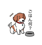 名前入りダックスレッドパイボールド（個別スタンプ：24）