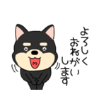 【敬語】柴犬のしば吉24（個別スタンプ：3）