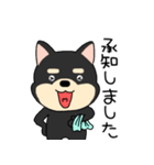 【敬語】柴犬のしば吉24（個別スタンプ：6）