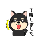 【敬語】柴犬のしば吉24（個別スタンプ：7）