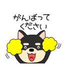 【敬語】柴犬のしば吉24（個別スタンプ：14）