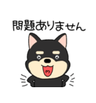 【敬語】柴犬のしば吉24（個別スタンプ：16）