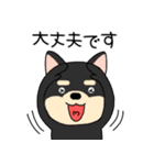 【敬語】柴犬のしば吉24（個別スタンプ：17）