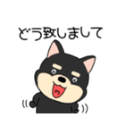 【敬語】柴犬のしば吉24（個別スタンプ：19）