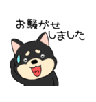 【敬語】柴犬のしば吉24（個別スタンプ：21）
