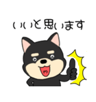 【敬語】柴犬のしば吉24（個別スタンプ：22）