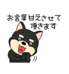 【敬語】柴犬のしば吉24（個別スタンプ：25）