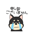 【敬語】柴犬のしば吉24（個別スタンプ：26）