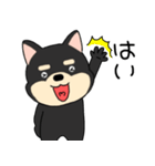 【敬語】柴犬のしば吉24（個別スタンプ：32）