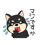 【敬語】柴犬のしば吉24（個別スタンプ：33）