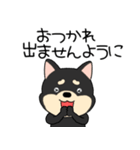 【敬語】柴犬のしば吉24（個別スタンプ：35）