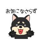 【敬語】柴犬のしば吉24（個別スタンプ：37）