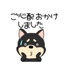 【敬語】柴犬のしば吉24（個別スタンプ：38）