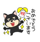 【敬語】柴犬のしば吉24（個別スタンプ：40）