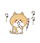 わん×にゃんカップル2♡彼氏用（個別スタンプ：4）