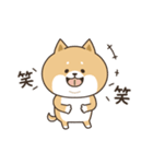 わん×にゃんカップル2♡彼氏用（個別スタンプ：37）