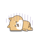 わん×にゃんカップル2♡彼氏用（個別スタンプ：40）