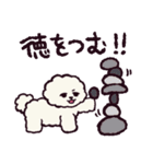 ビションフリーゼです.（個別スタンプ：2）