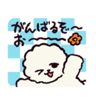 ビションフリーゼです.（個別スタンプ：3）