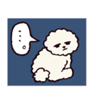 ビションフリーゼです.（個別スタンプ：7）