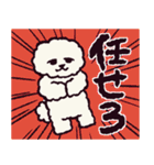 ビションフリーゼです.（個別スタンプ：10）