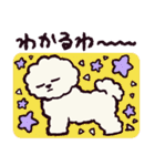 ビションフリーゼです.（個別スタンプ：19）