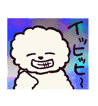 ビションフリーゼです.（個別スタンプ：21）