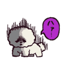 ビションフリーゼです.（個別スタンプ：28）