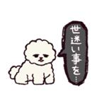 ビションフリーゼです.（個別スタンプ：31）