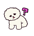 ビションフリーゼです.（個別スタンプ：33）