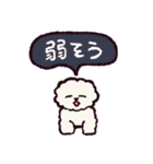 ビションフリーゼです.（個別スタンプ：36）