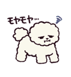 ビションフリーゼです.（個別スタンプ：38）