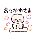 ビションフリーゼです.（個別スタンプ：40）